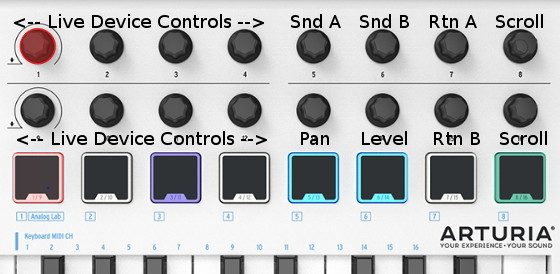 how to get arturia analog lab ableton